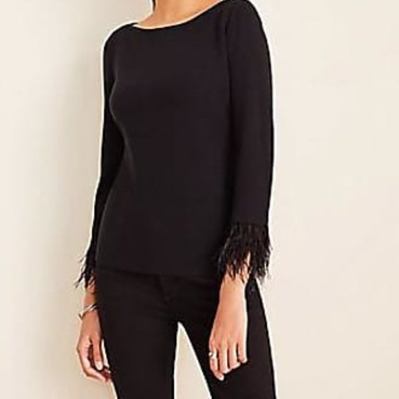 Ann Taylor Feather Sleeve Sweater Xxsp 
